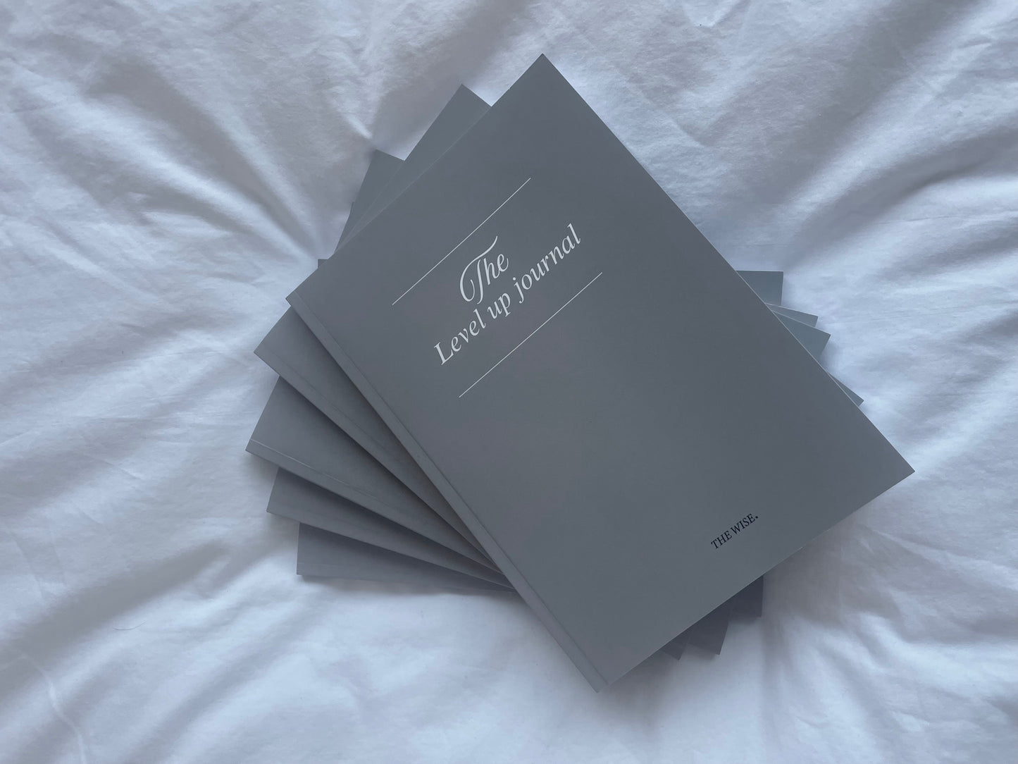 LEVEL UP JOURNAL
